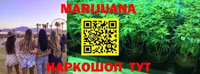 гидропоника Боровичи