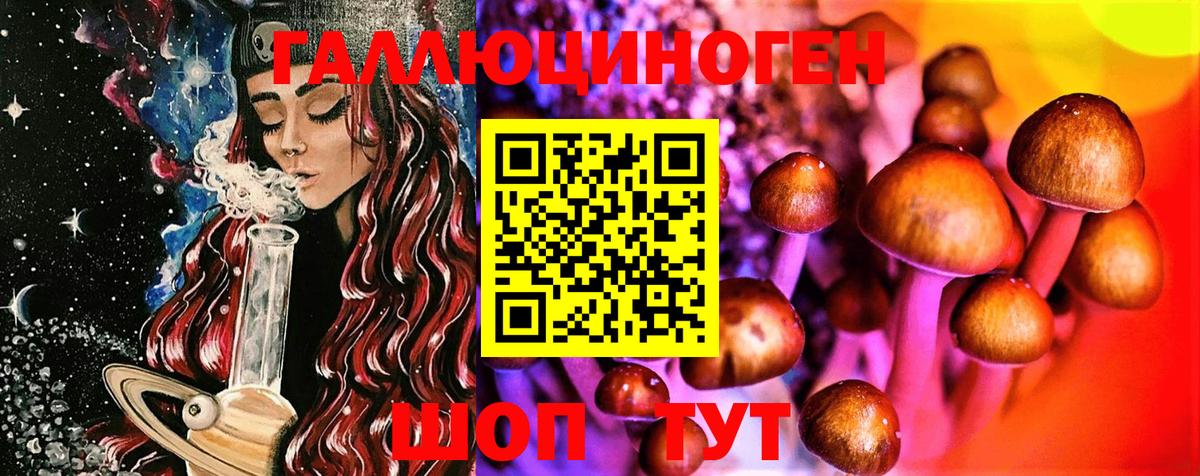 Воскресенск  Псилоцибиновые грибы GOLDEN TEACHER  Вход с VPN 