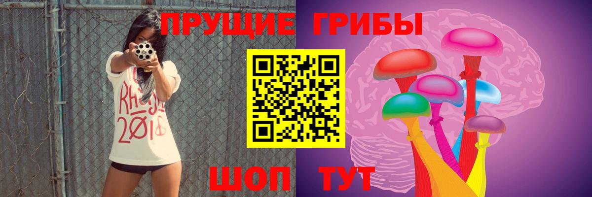 Галлюциногенные грибы GOLDEN TEACHER Воскресенск